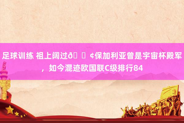 足球训练 祖上阔过😢保加利亚曾是宇宙杯殿军，如今混迹欧国联C级排行84