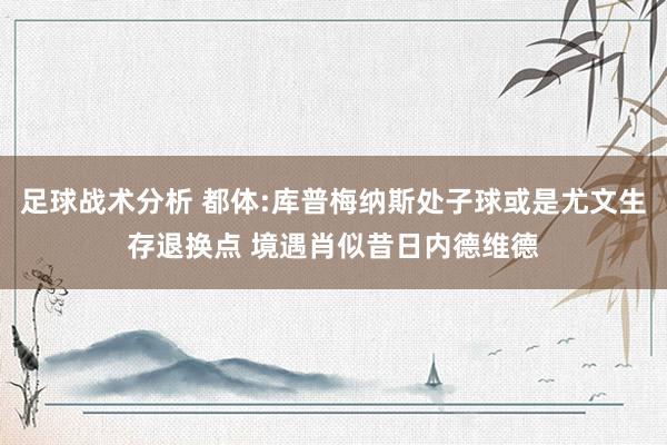 足球战术分析 都体:库普梅纳斯处子球或是尤文生存退换点 境遇肖似昔日内德维德