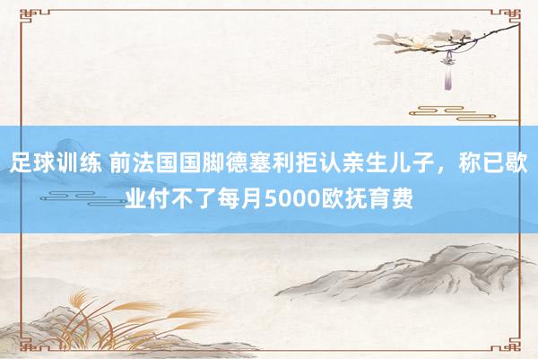 足球训练 前法国国脚德塞利拒认亲生儿子，称已歇业付不了每月5000欧抚育费