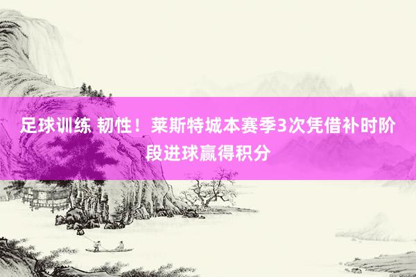 足球训练 韧性！莱斯特城本赛季3次凭借补时阶段进球赢得积分