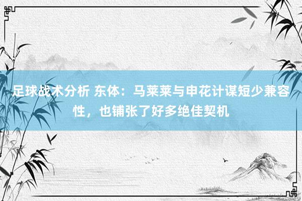 足球战术分析 东体：马莱莱与申花计谋短少兼容性，也铺张了好多绝佳契机