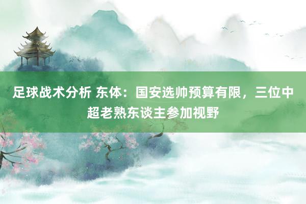 足球战术分析 东体：国安选帅预算有限，三位中超老熟东谈主参加视野