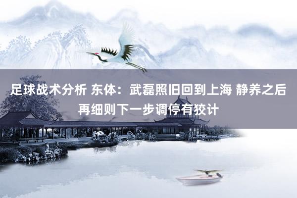 足球战术分析 东体：武磊照旧回到上海 静养之后再细则下一步调停有狡计