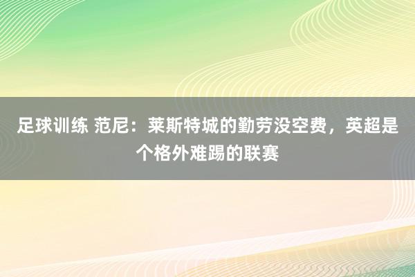 足球训练 范尼：莱斯特城的勤劳没空费，英超是个格外难踢的联赛